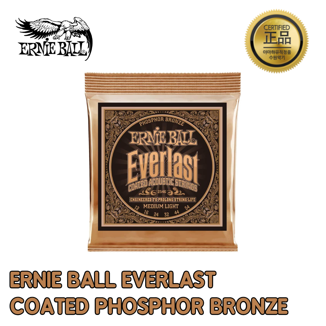 어니볼 EVERLAST COATED PHOSPHOR BRONZE